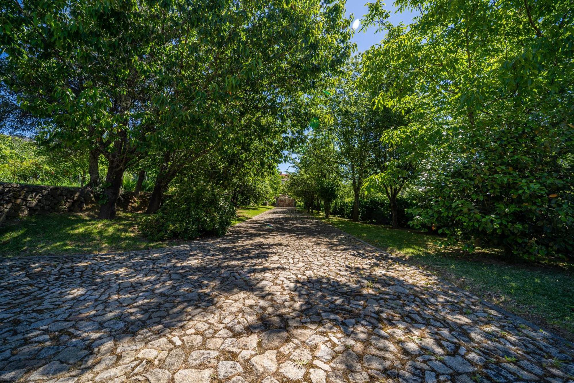 Eido Oliveira - Casa De Campo - Ponte De Lima Anais Esterno foto