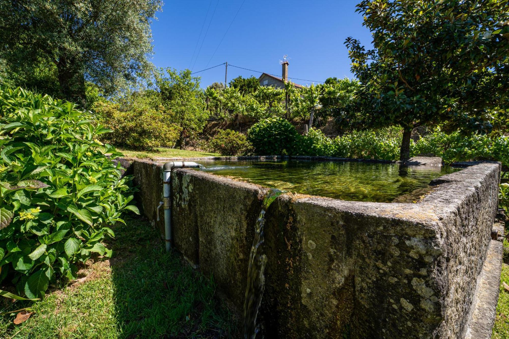 Eido Oliveira - Casa De Campo - Ponte De Lima Anais Esterno foto